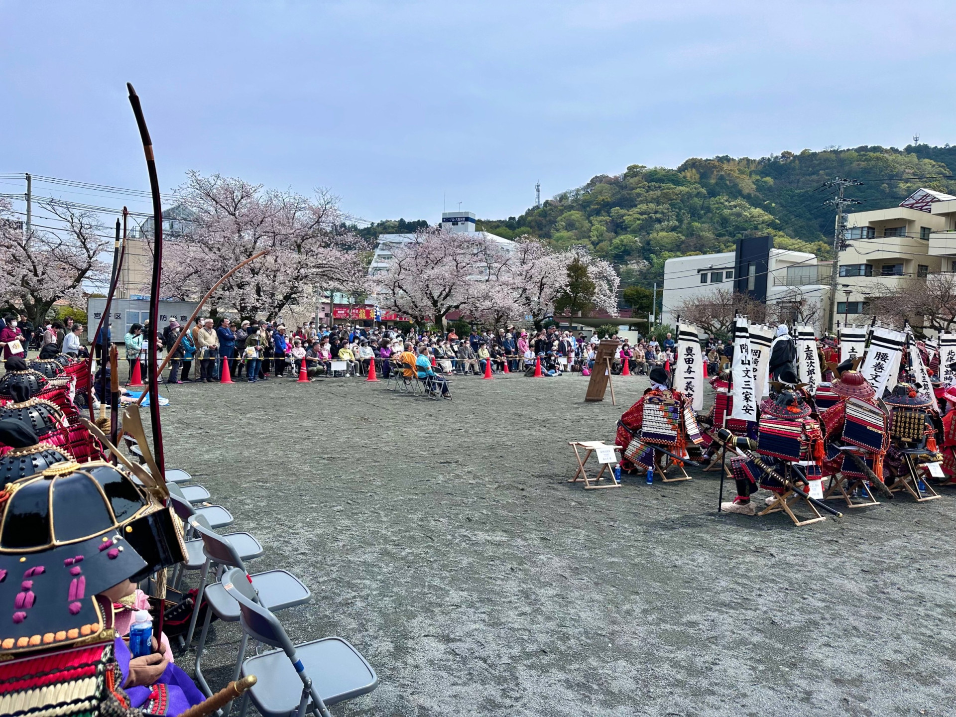 湯の町　湯河原に咲く桜【花のコラム】